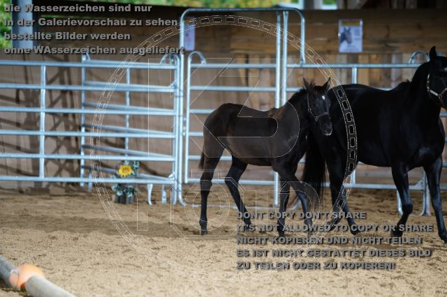 s_K3F04823.JPG